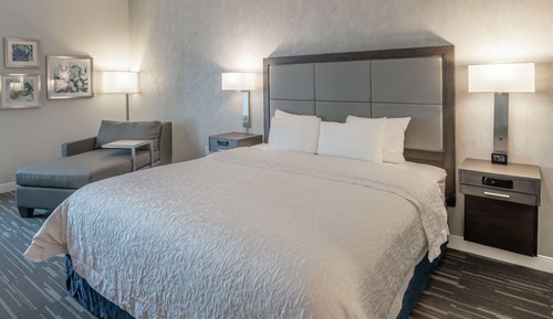 Room, 1 King Bed, Accessible, Non Smoking