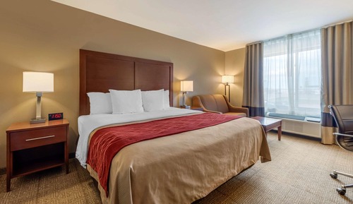 Standard Room, 1 King Bed, Non Smoking