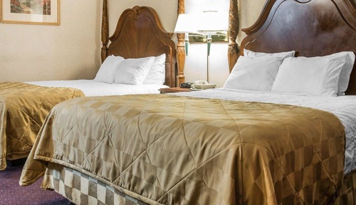 Standard Suite, 2 Bedrooms