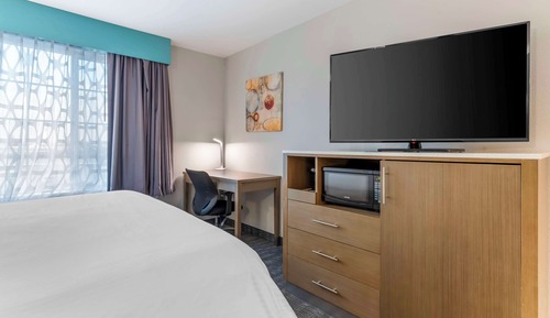 Suite, 1 King Bed with Sofa bed, Non Smoking, Refrigerator & Microwave (with Sofabed)