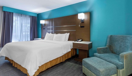 Standard Room, 1 King Bed, Non Smoking, Refrigerator & Microwave