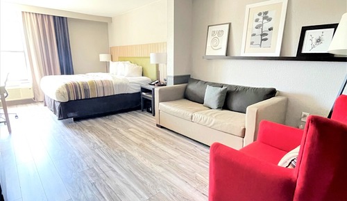 Studio Suite, 1 King Bed, Non Smoking