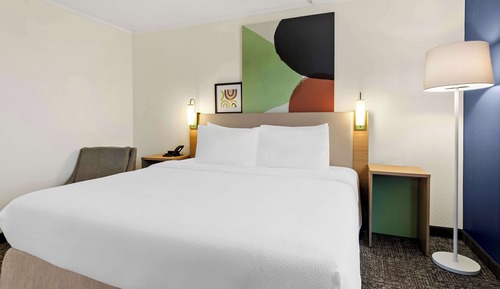 Room, 1 King Bed, Accessible (Roll-In Shower)