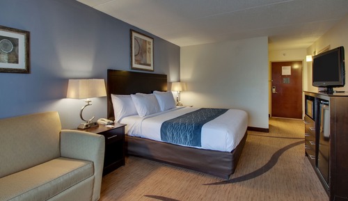 Standard Room, 1 King Bed, Accessible (Non-Smoking Handicap King Room)