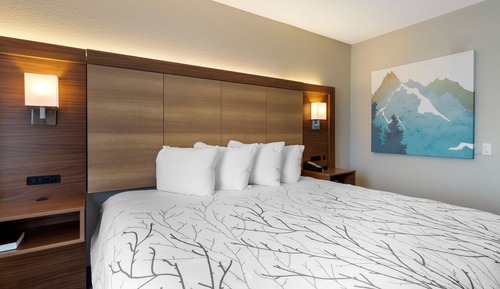 Standard Room, 1 King Bed, Accessible, Refrigerator & Microwave