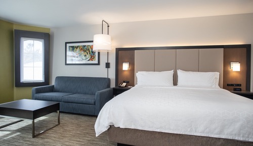 Standard Room, 1 King Bed with Sofa bed