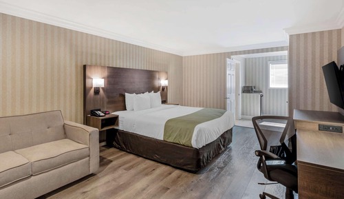 Standard Room, 1 King Bed, Sofa Bed, Non Smoking