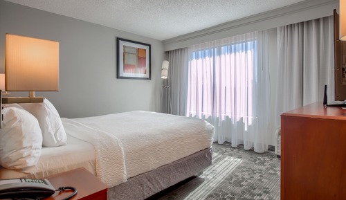 Room, 1 King Bed with Sofa bed, Balcony (Mobility/Hearing Access, Roll-in Shwr)