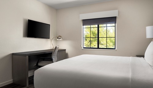 Room, 1 King Bed