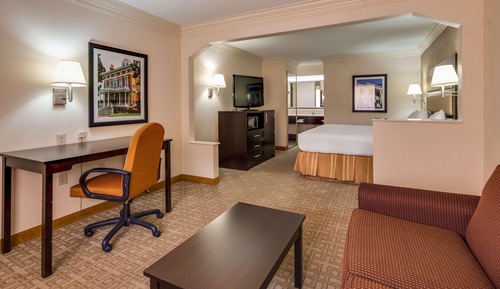 Suite, 1 King Bed, Non Smoking, Microwave (No Pets)