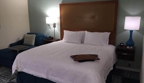 Room, 1 King Bed, Accessible, Non Smoking (Roll in shower/hearing accessible)