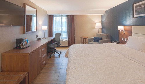Room, 1 King Bed, Accessible, Non Smoking