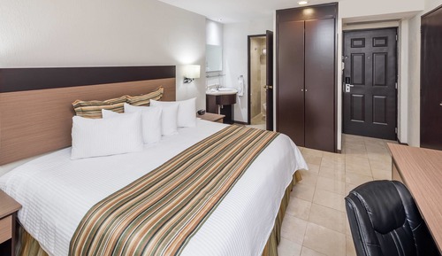 Room, 1 King Bed, Non Smoking
