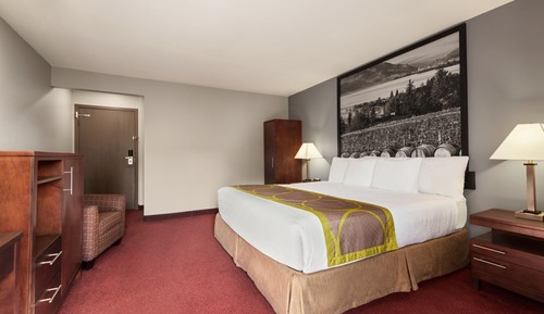 Standard Room, 1 King Bed, Non Smoking (No Pets)