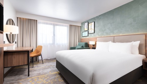 Standard Room, 1 King Bed with Sofa bed