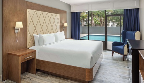 Room, 1 King Bed, Accessible (Mobility & Hearing, Roll-In Shower)
