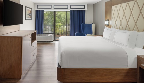 Room, 1 King Bed, Balcony
