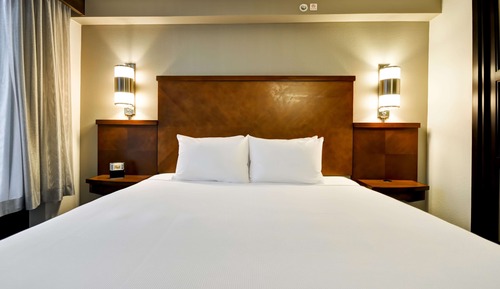 Room, 1 King Bed (& Sofabed)