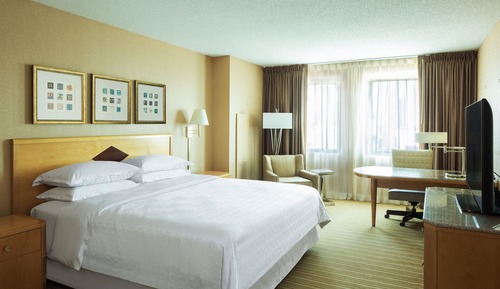 Pure, Room, 1 King Bed