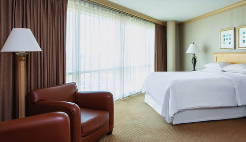 Pure, Club Room, 1 Queen Bed