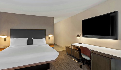 Room, 1 King Bed
