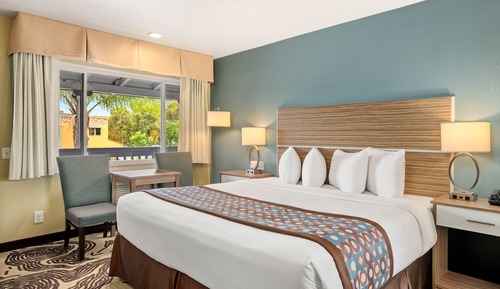 Room, 1 King Bed