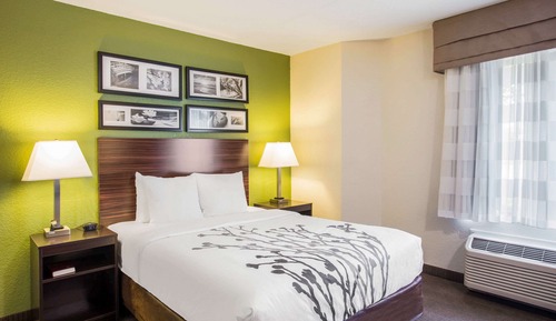 Room, 1 Queen Bed, Accessible, Non Smoking