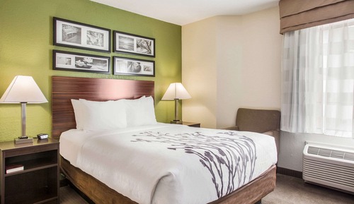 Standard Room, 1 Queen Bed, Non Smoking