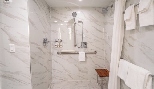 Standard Room, 1 King Bed, Mobility Accessible (Roll-In Shower)