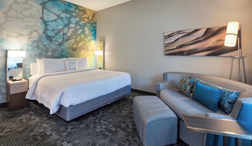Room, 1 King Bed with Sofa bed