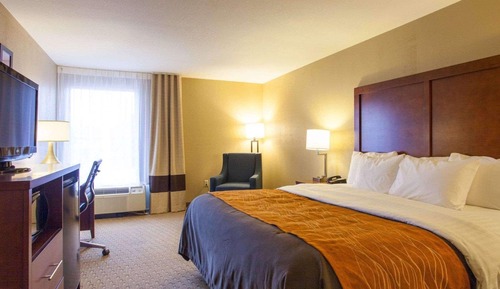 Standard Room, 1 King Bed, Non Smoking