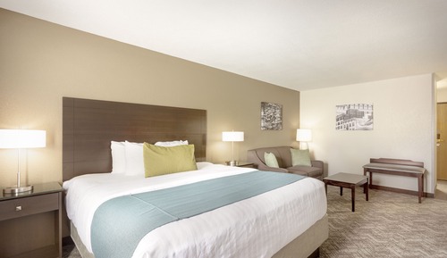 Room, 1 King Bed with Sofa bed, Non Smoking