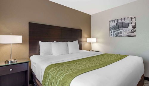 Room, 1 King Bed, Non Smoking