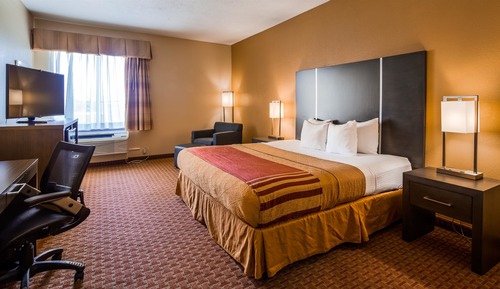 Standard Room, 1 King Bed, Accessible, Non Smoking (with Sofabed)