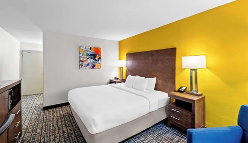 Standard Room, 1 King Bed, Non Smoking, Jetted Tub