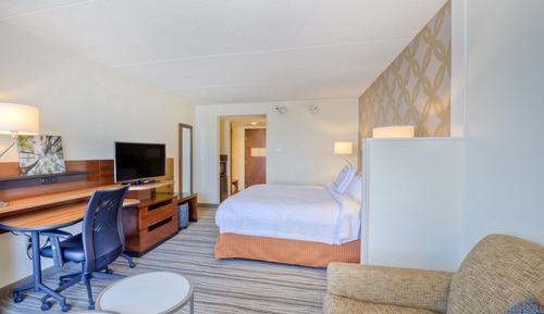Room, 1 King Bed with Sofa bed, Non Smoking (Mobility Accessible, Tub)