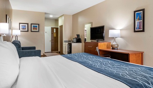 Standard Room, 1 King Bed with Sofa bed
