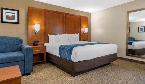Room, 1 King Bed (Larger Unit)