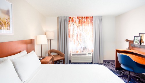 Room, 1 King Bed