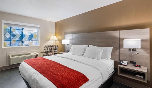 Standard Room, 1 King Bed, Accessible, Non Smoking (Walk-in Shower)