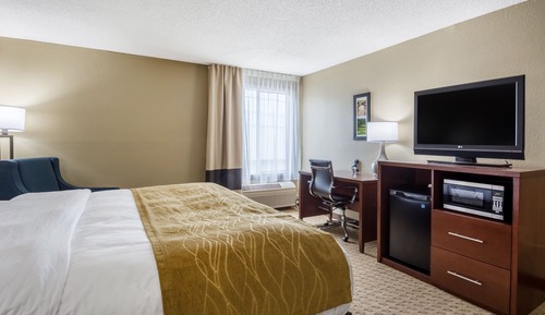 Standard Room, 1 King Bed, Non Smoking
