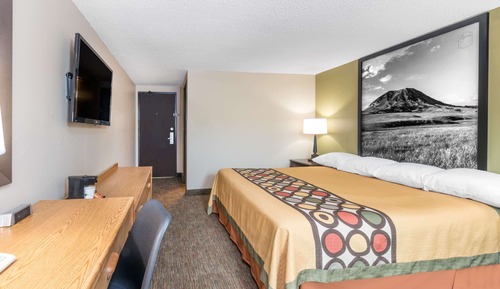 Room, 1 King Bed, Non Smoking