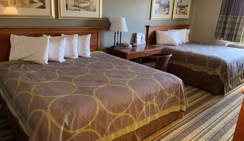 Standard Room, Multiple Beds, Non Smoking