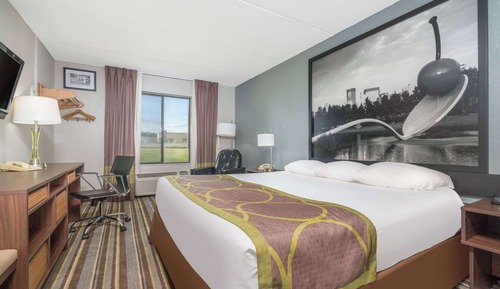 Studio Suite, 1 King Bed, Smoking