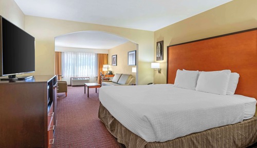 Suite, 1 King Bed, Non Smoking, Refrigerator & Microwave (with Single Sofabed)
