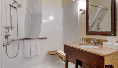 Suite, 1 King Bed with Sofa bed, Accessible, Non Smoking