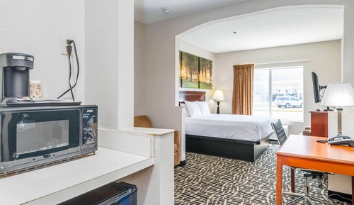 Studio Suite, 1 King Bed, Non Smoking