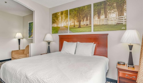 Room, 1 King Bed, Non Smoking