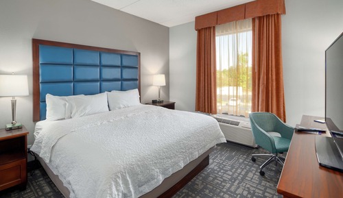 Room, 1 King Bed, Accessible, Non Smoking (Roll-in Shower)