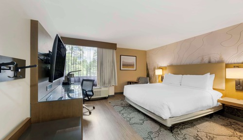Standard Room, 1 King Bed, Non Smoking, Refrigerator & Microwave
